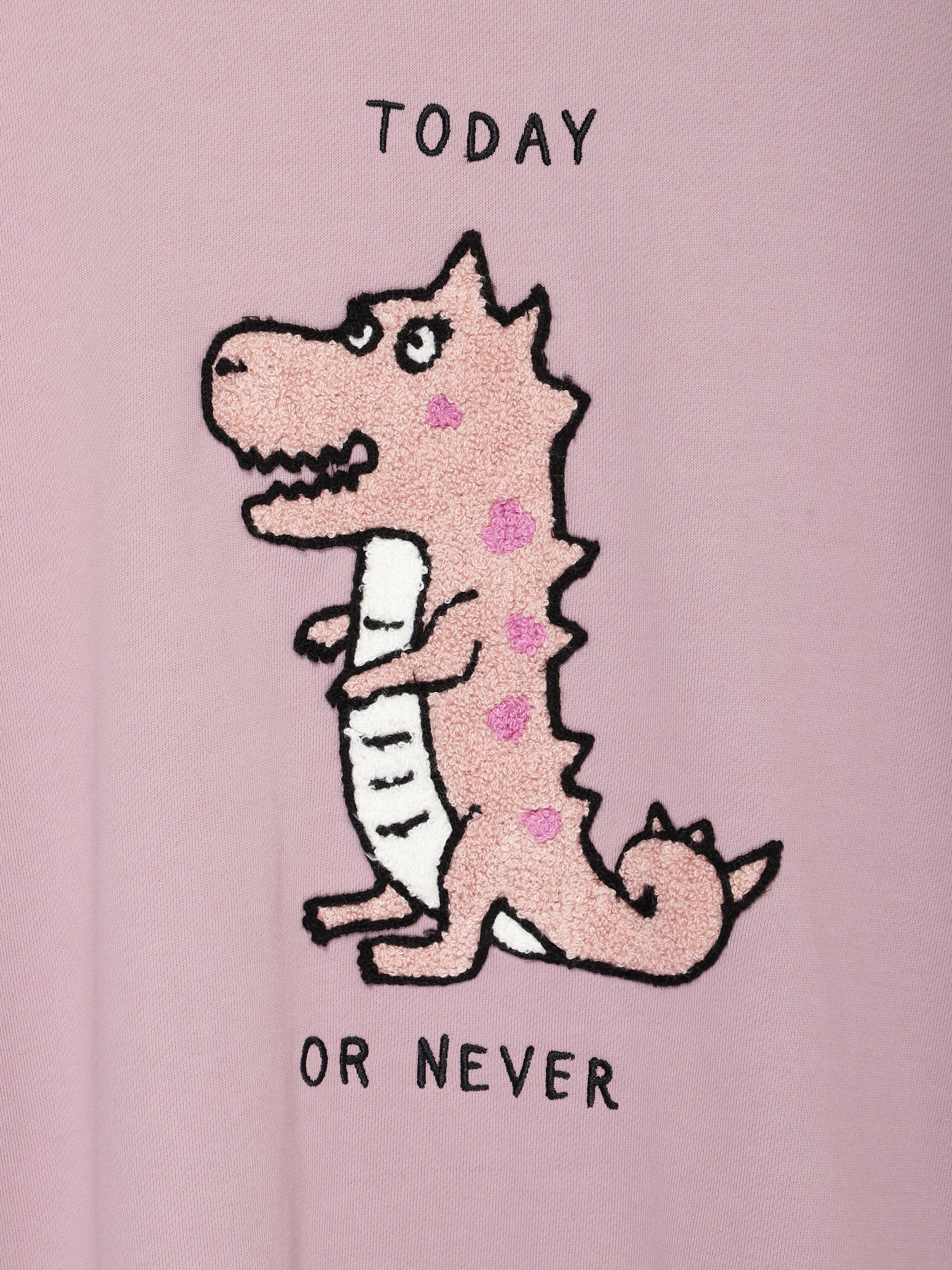 Свитшот Only модель 11939S566E16_бузковий комб. Фото