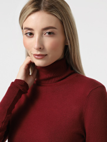 Водолазка Only модель 15183772_Cabernet Фото