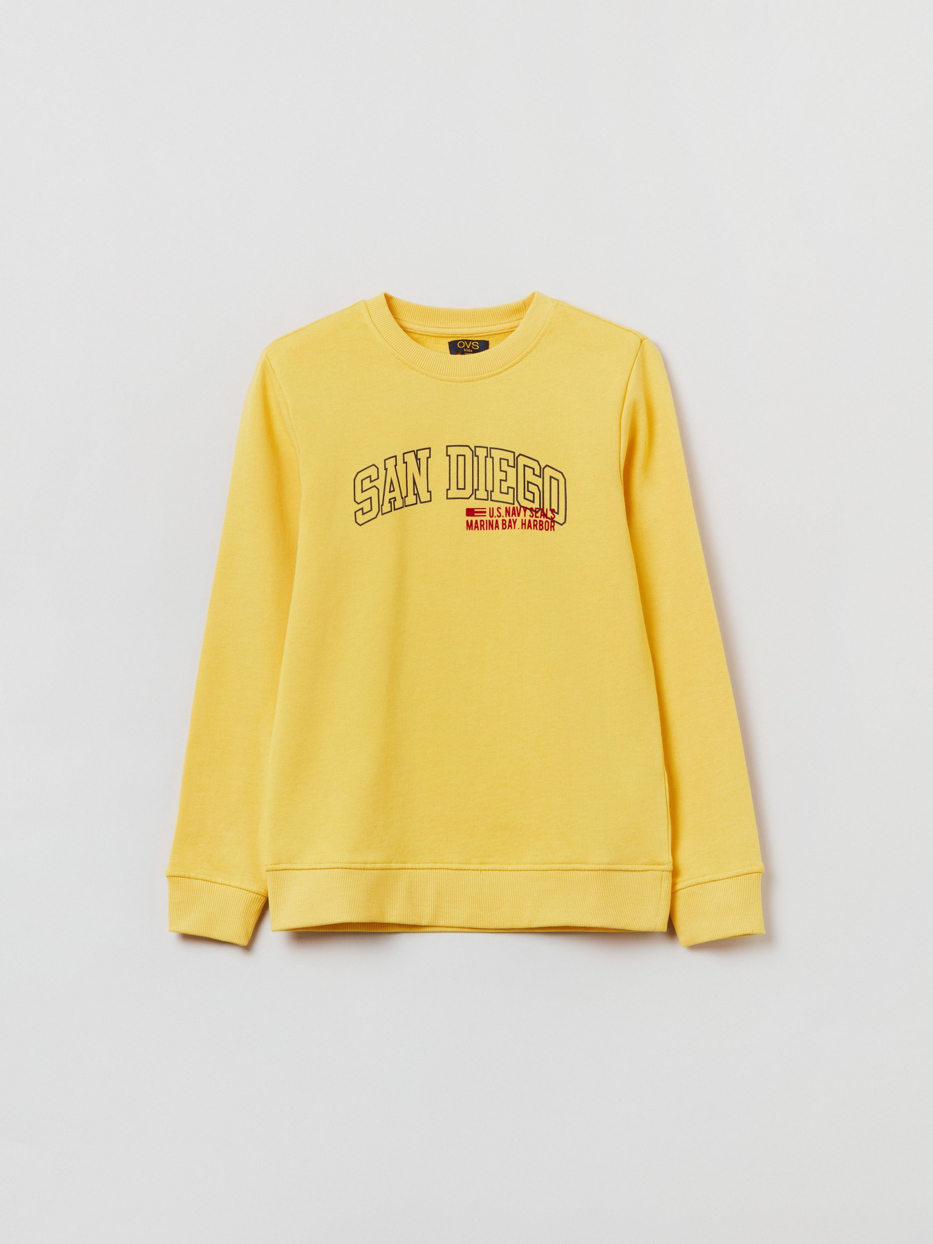 Свитшот OVS модель 1743562 Фото