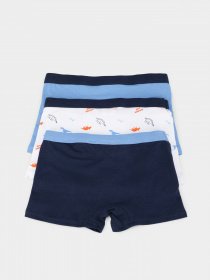 Набір трусів OVS модель 1758066 Фото