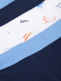 Набір трусів OVS модель 1758066 Набір трусів OVS модель 1758066 Фото