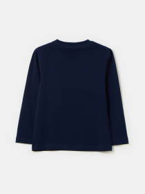 Лонгслів OVS модель 1965185 Лонгслів OVS модель 1965185 Фото