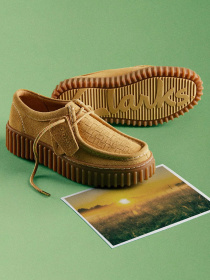 Полуботинки Clarks Torhill Bee модель 26181188 Фото