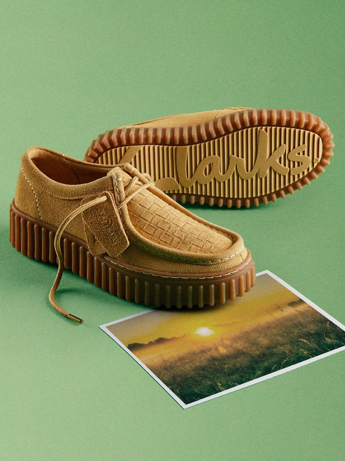 Полуботинки Clarks Torhill Bee модель 26181188 Фото