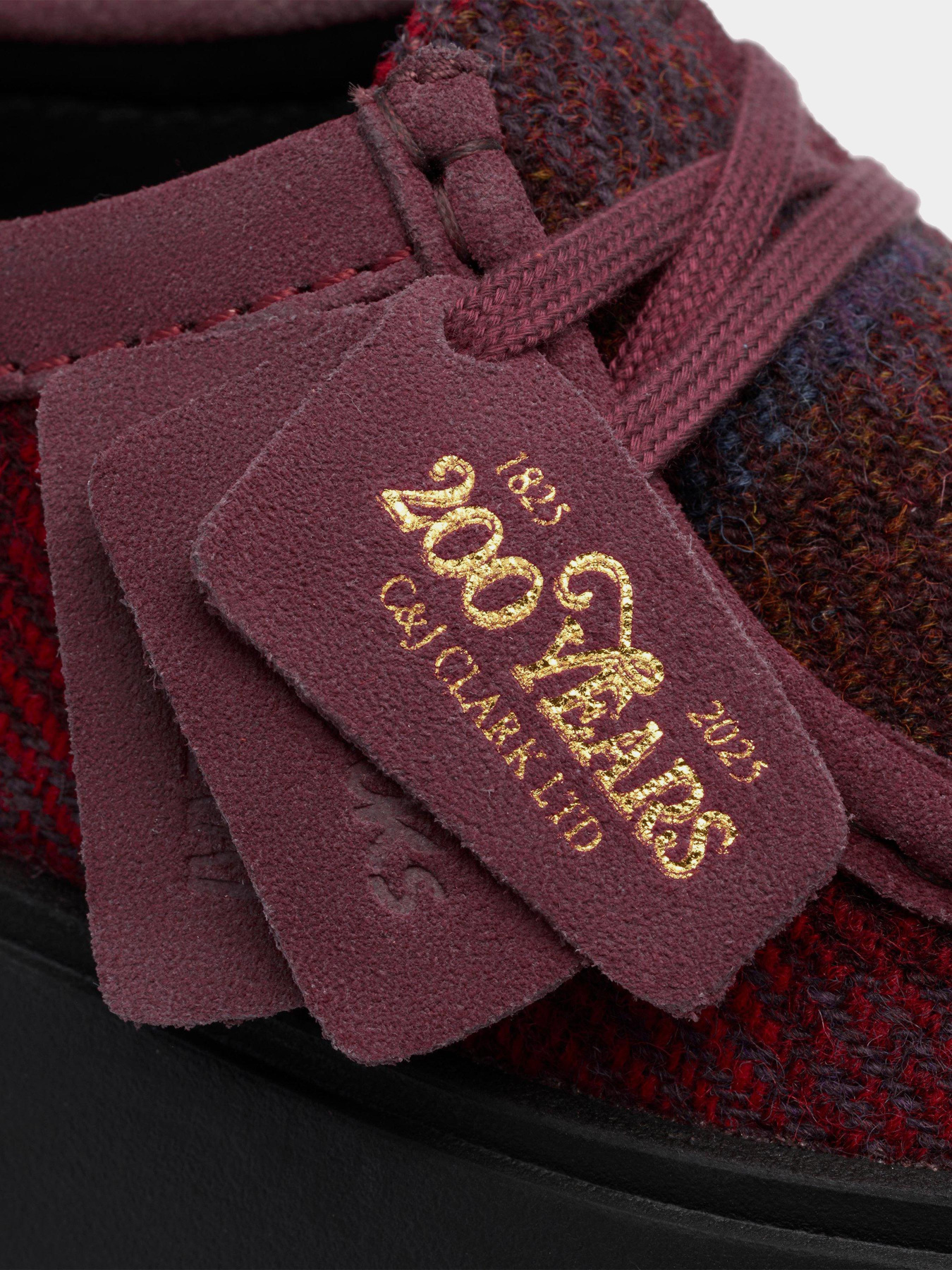 Напівчеревики Clarks модель 26184947 Напівчеревики Clarks модель 26184947 Фото