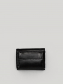 Гаманець Picard Offenbach модель 8228 01E 001 Гаманець Picard Offenbach модель 8228 01E 001 Фото