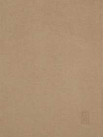 Шарф Marc O’Polo модель 500005102011-745 Фото