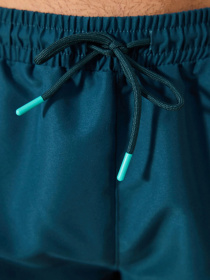 Шорти для плавання Penti модель PLNNTUGT24IY-MIX Фото