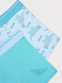 Набір трусів Penti модель PL88CB2X24IY-NV41 Набір трусів Penti модель PL88CB2X24IY-NV41 Фото