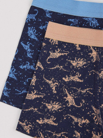 Набір трусів Penti модель PLF3X4ML23SK-NV41 Фото