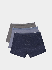 Набір трусів Penti модель PLW0J14H25IY-MIX Фото