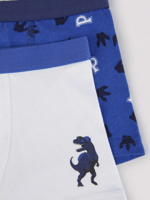 Набір трусів Penti модель PL01PWSG23SK-MIX Фото