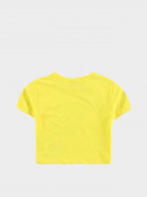 Футболка Piazza Italia модель 03013_yellow Фото