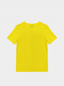 Футболка Piazza Italia модель 03876_yellow Фото