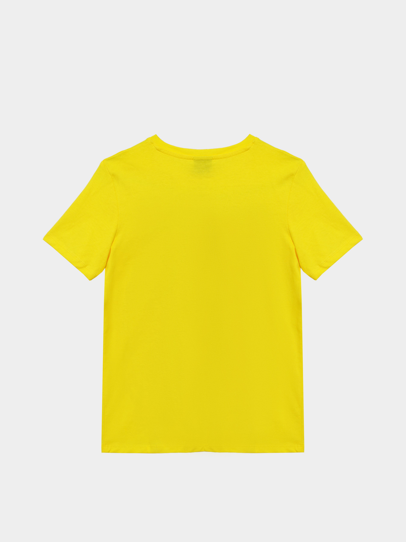 Футболка Piazza Italia модель 03876_yellow Фото