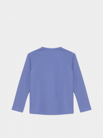 Лонгслів Piazza Italia модель 04663_Denim Фото