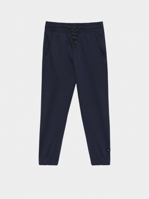 Штаны спортивные Piazza Italia модель 04676_blue Фото