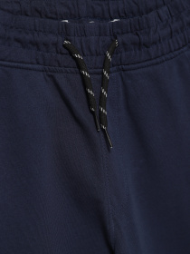 Спортивні штани Piazza Italia модель 04676_blue Фото