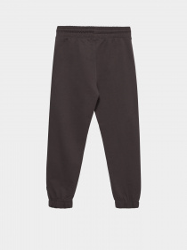 Штаны спортивные Piazza Italia модель 04676_lead Фото