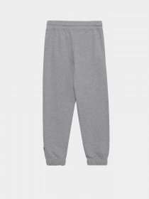Штаны спортивные Piazza Italia модель 04676_grey melange Фото