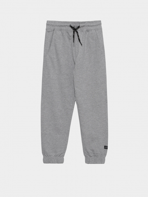 Спортивні штани Piazza Italia модель 04676_grey melange Фото