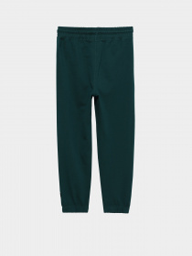 Штаны спортивные Piazza Italia модель 04676_oil Фото