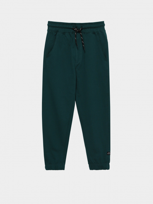 Штаны спортивные Piazza Italia модель 04676_oil Фото