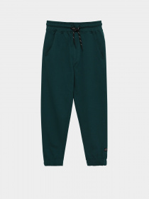 Спортивні штани Piazza Italia модель 04676_oil Фото