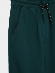 Спортивні штани Piazza Italia модель 04676_oil Фото