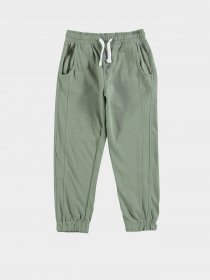 Штаны спортивные Piazza Italia модель 04625_sage Фото