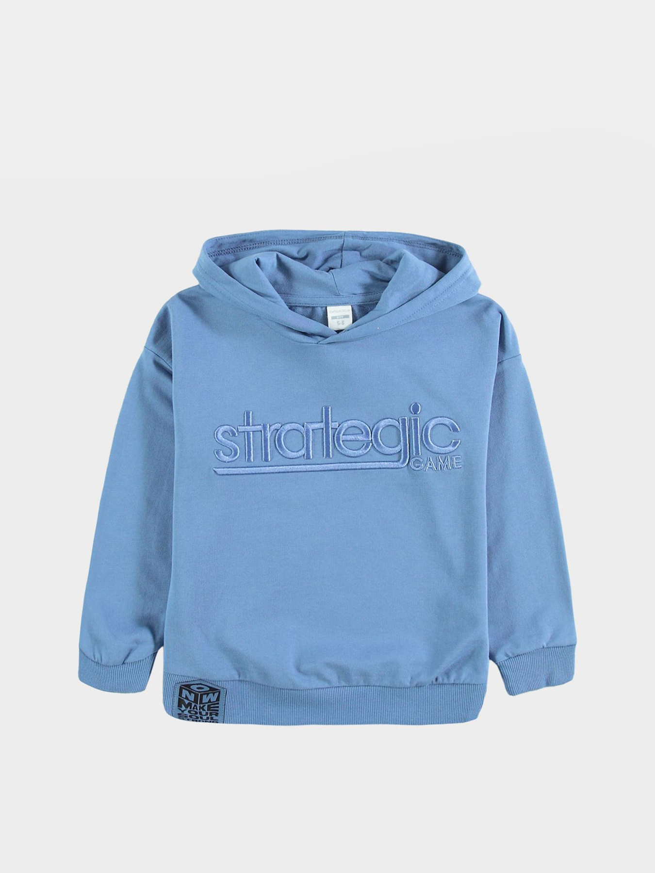 Худи Piazza Italia модель 04657_avion Фото