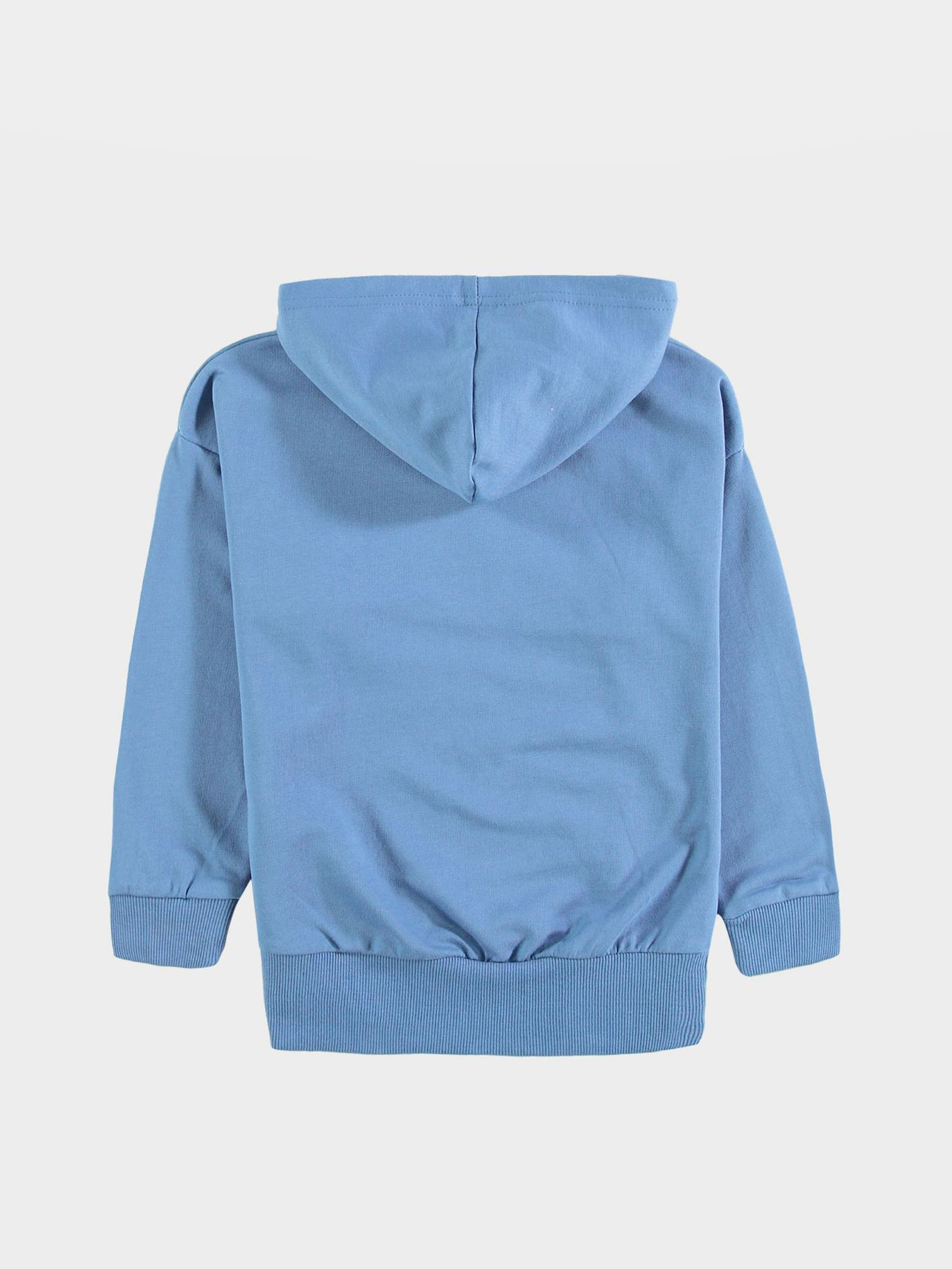 Худі Piazza Italia модель 04657_avion Фото