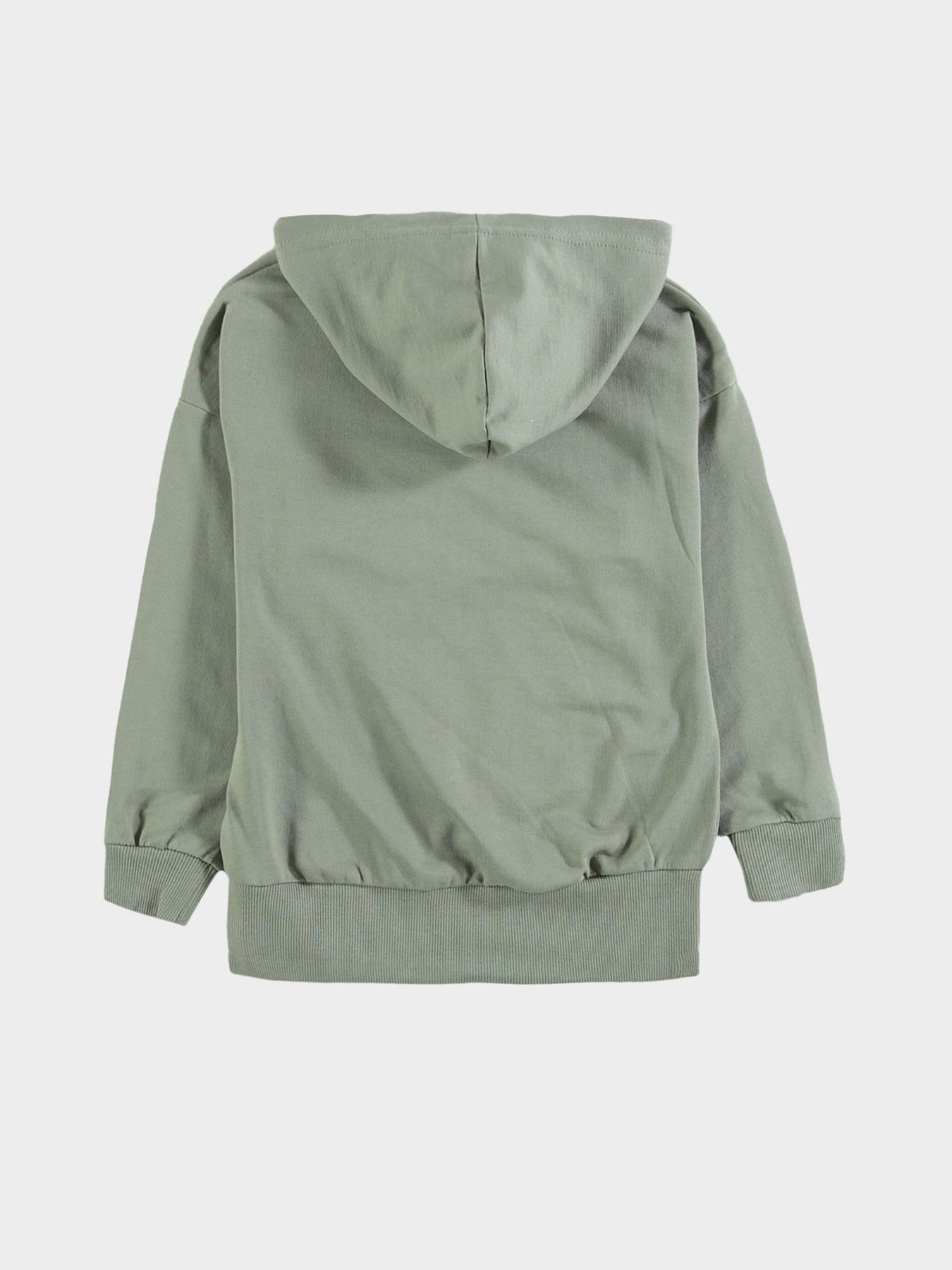 Худі Piazza Italia модель 04657_sage Фото