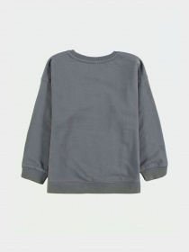 Свитшот Piazza Italia модель 04695_lead Фото