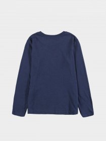 Лонгслив Piazza Italia модель 04705_blue Фото