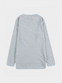Лонгслив Piazza Italia модель 05544_grey melange Фото