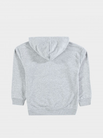 Худи Piazza Italia модель 05549_grey melange Фото