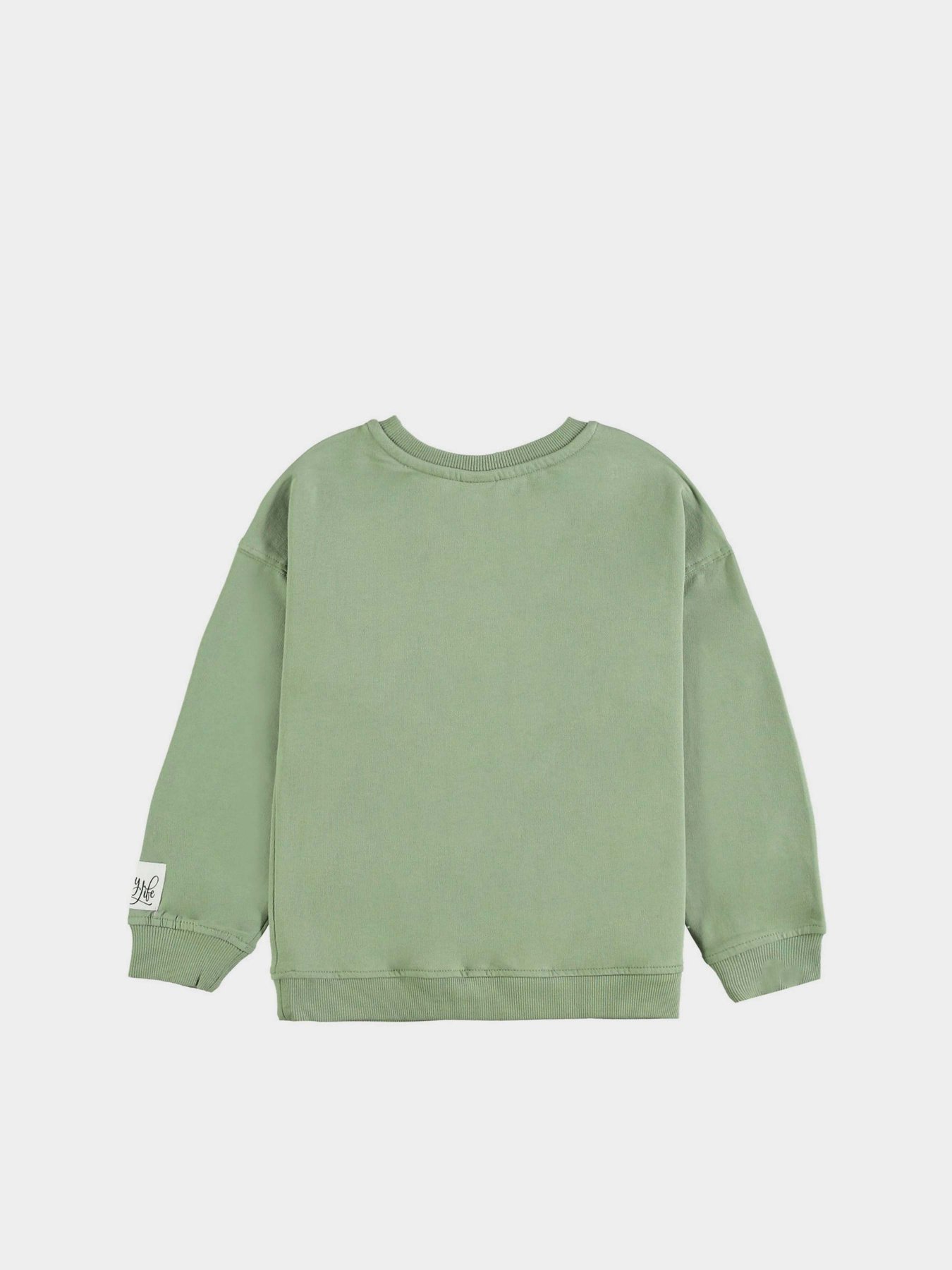 Світшот Piazza Italia модель 56330_army Фото