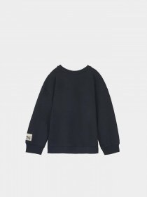 Свитшот Piazza Italia модель 56330_blue Фото