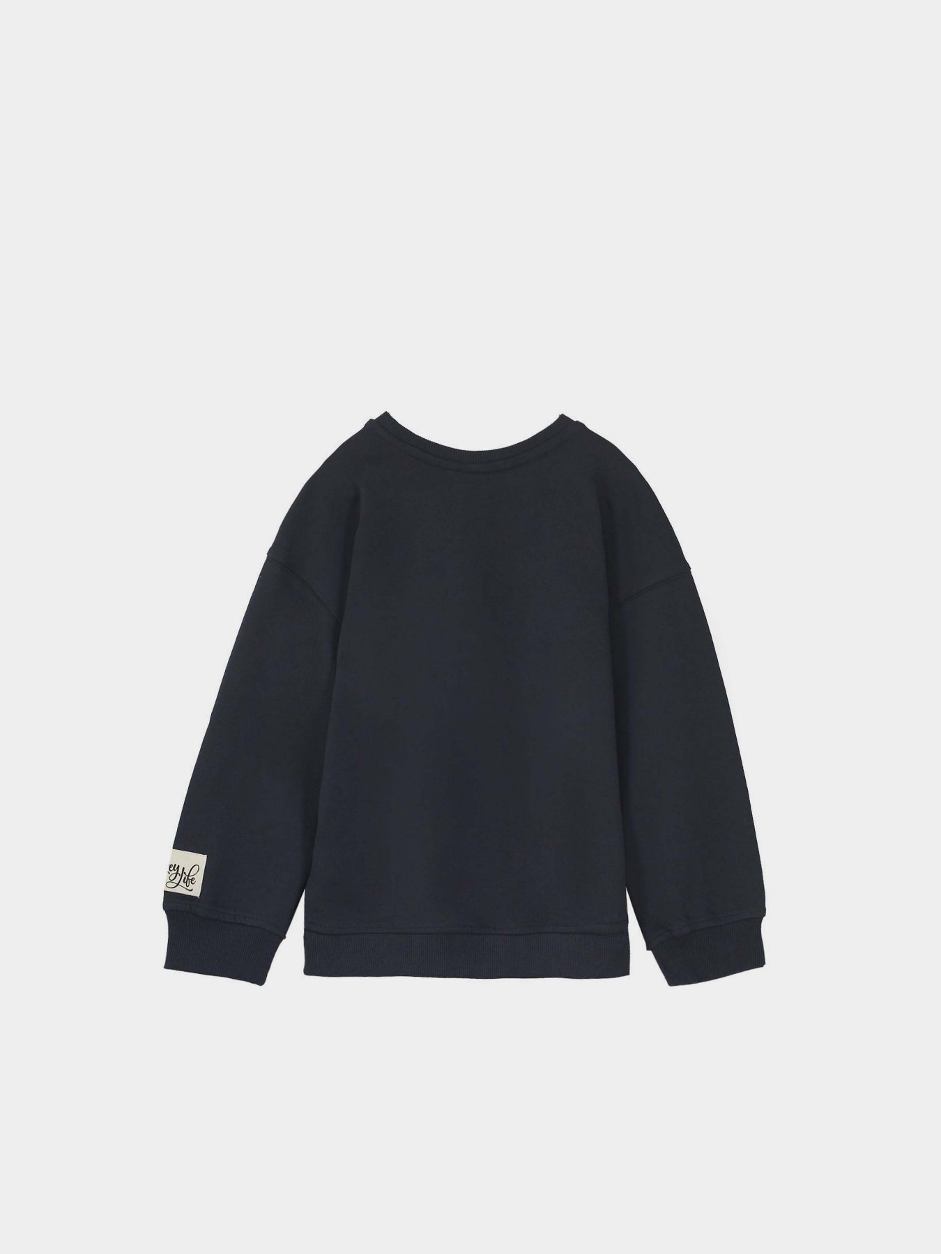 Світшот Piazza Italia модель 56330_blue Фото