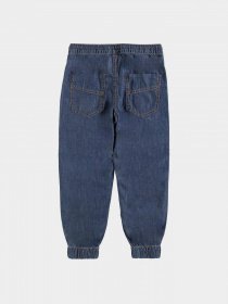 Джоггеры Piazza Italia модель 57048_Denim Фото