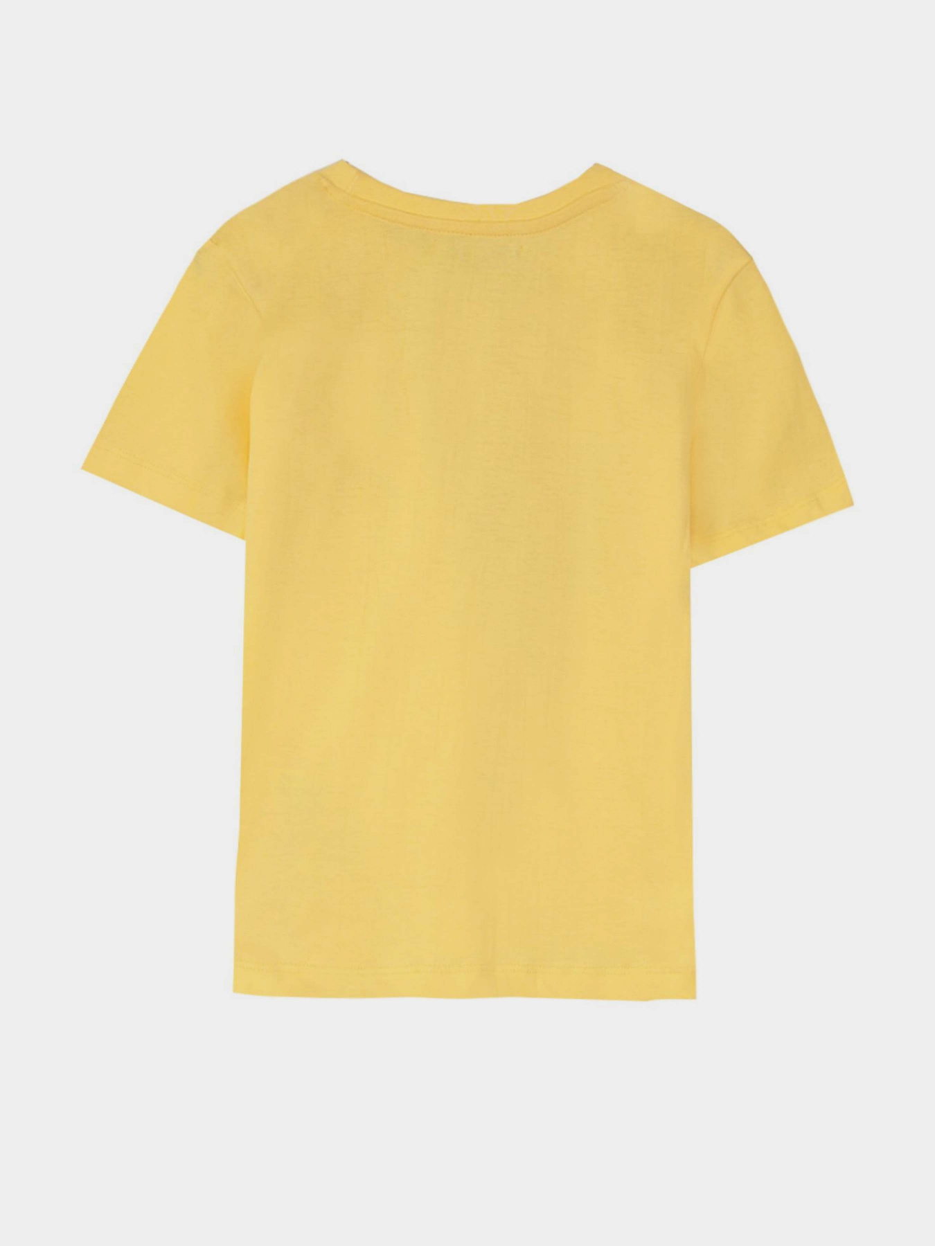 Футболка Piazza Italia модель 82126_yellow Фото