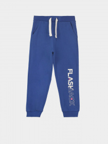 Джоггеры Piazza Italia модель 56075_blue Фото