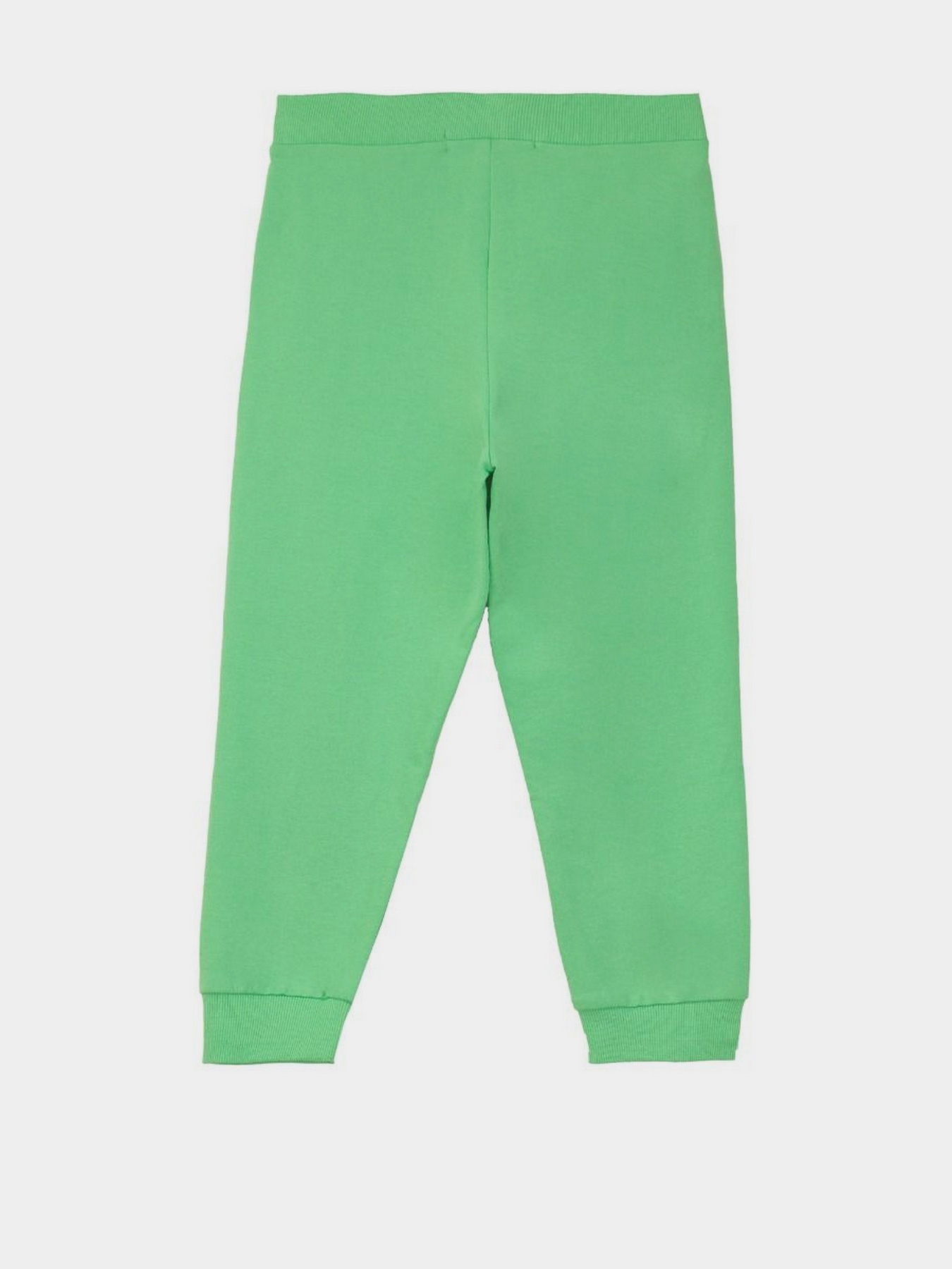 Джоггеры Piazza Italia модель 56075_green Фото