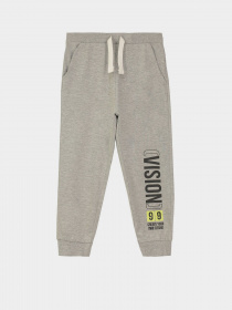 Джоггеры Piazza Italia модель 56075_grey melange Фото