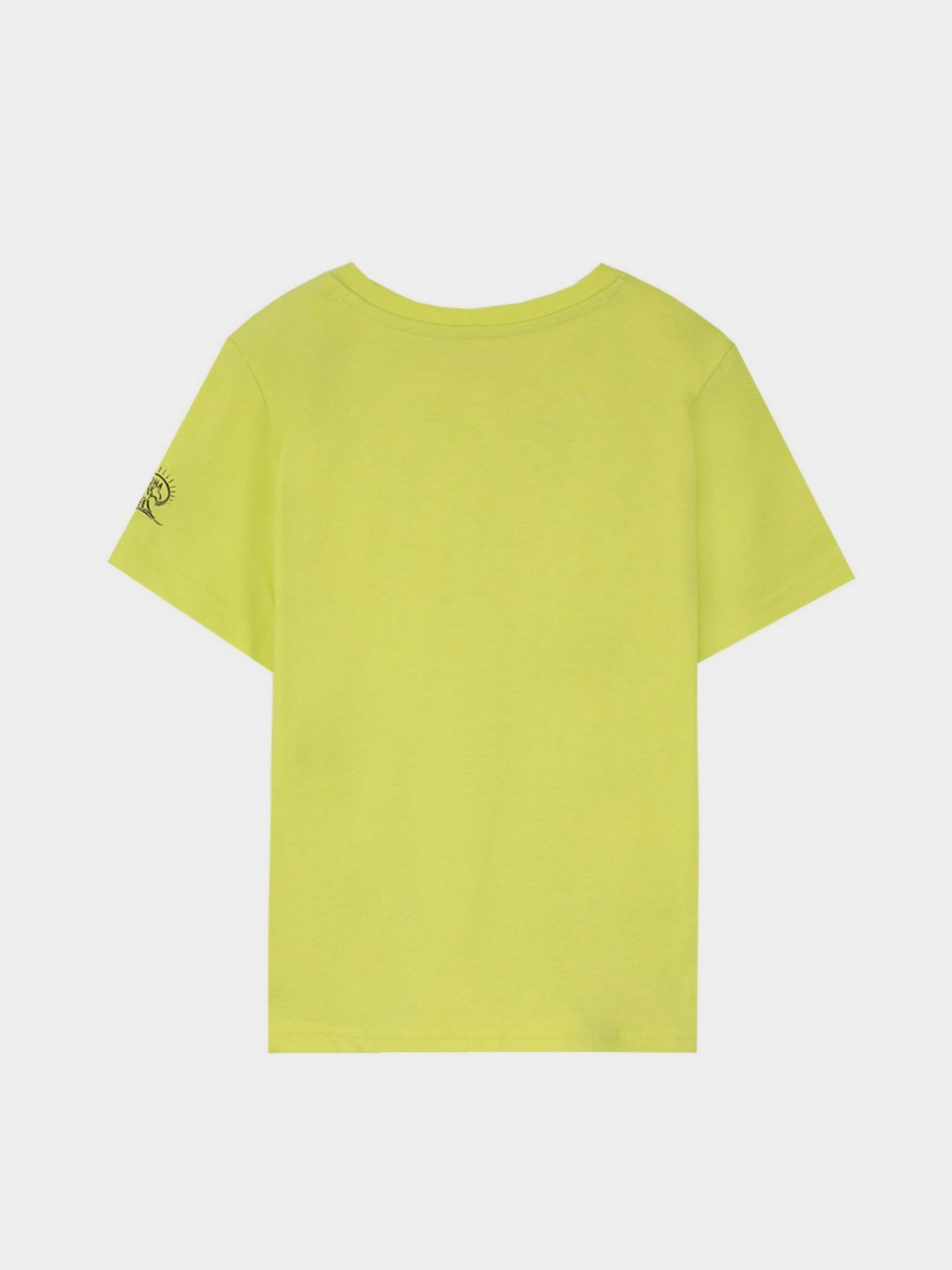 Футболка Piazza Italia Модель 79690_acid green Фото