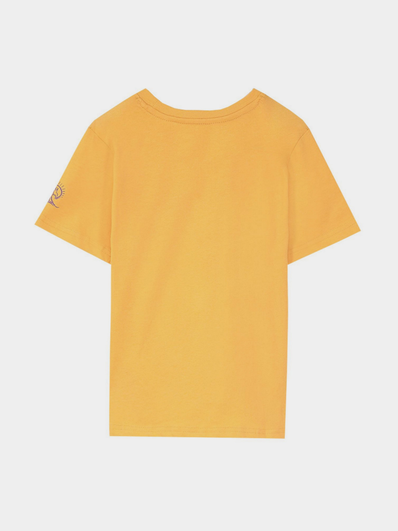 Футболка Piazza Italia модель 79690_orange Фото