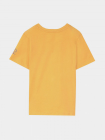 Футболка Piazza Italia модель 79690_orange Фото