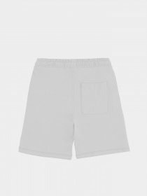 Шорты Piazza Italia модель 82174_white Фото