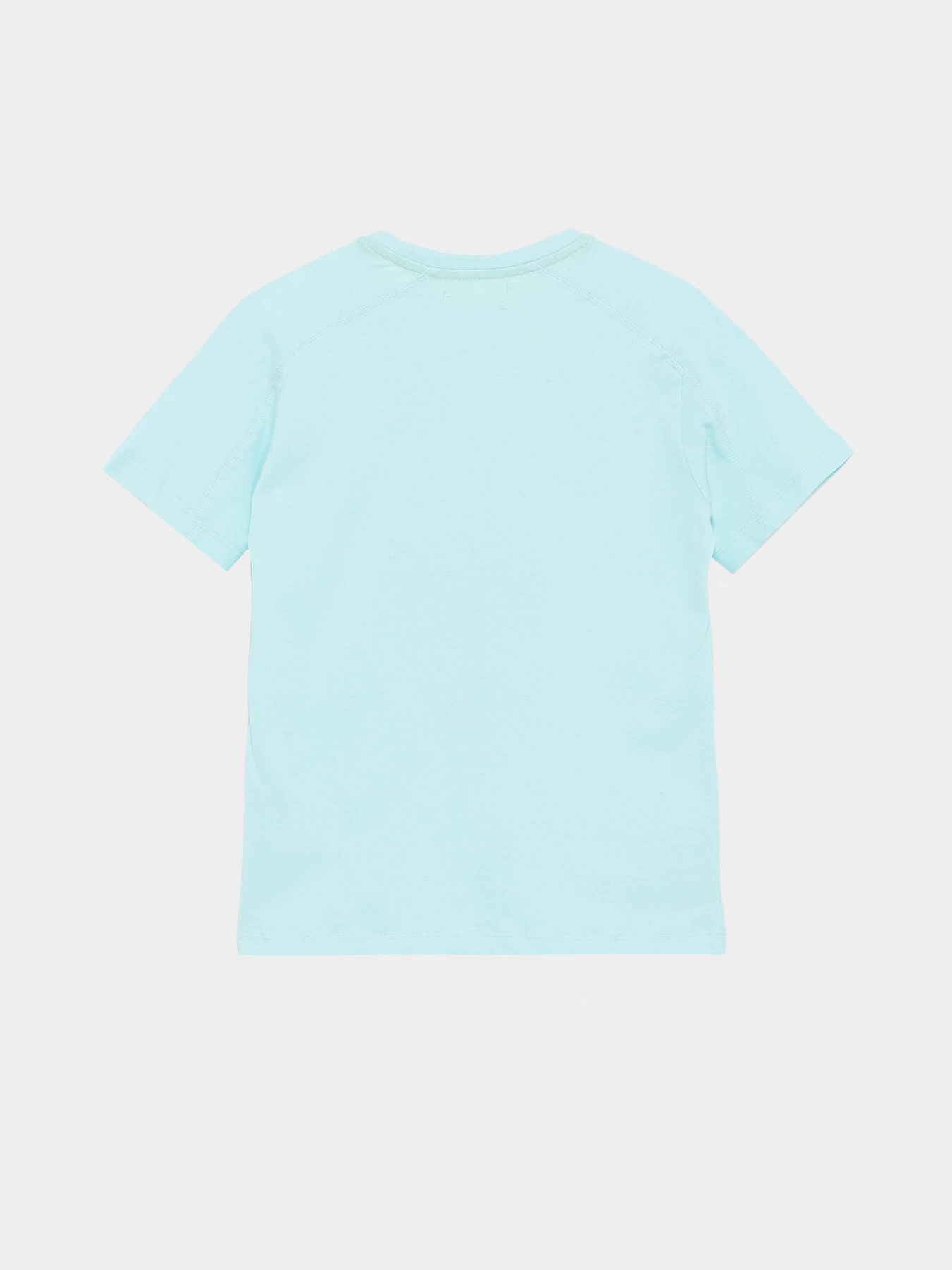 Футболка Piazza Italia модель 82455_azure Фото